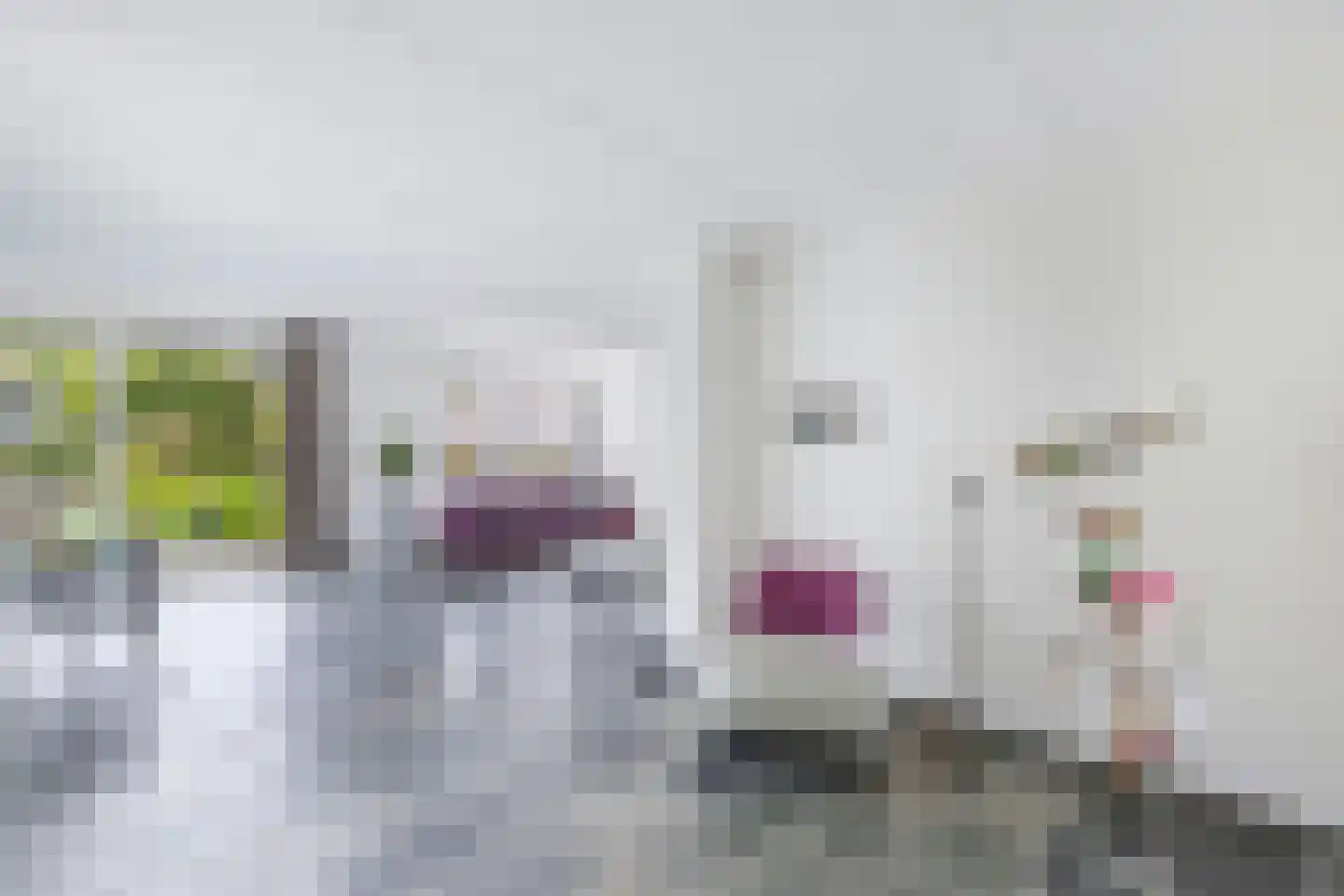 Spakenburgstraat 7 Emmeloord thumbnail 19