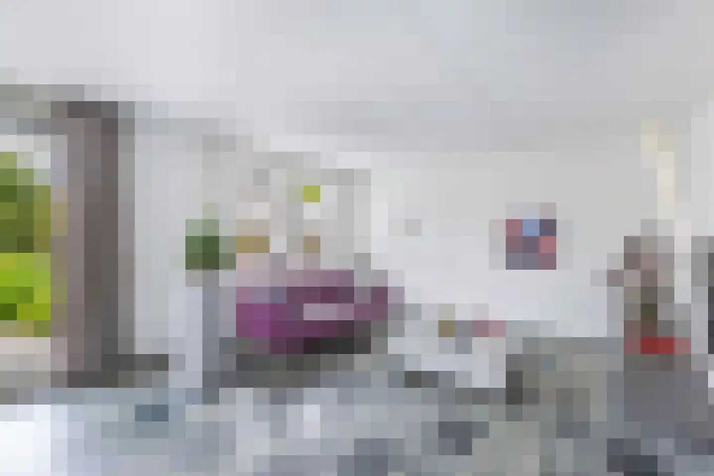 Spakenburgstraat 7 Emmeloord thumbnail 20