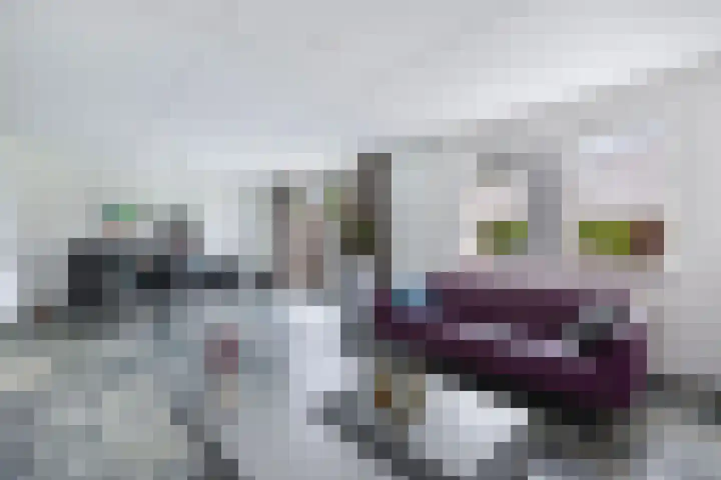 Spakenburgstraat 7 Emmeloord thumbnail 22