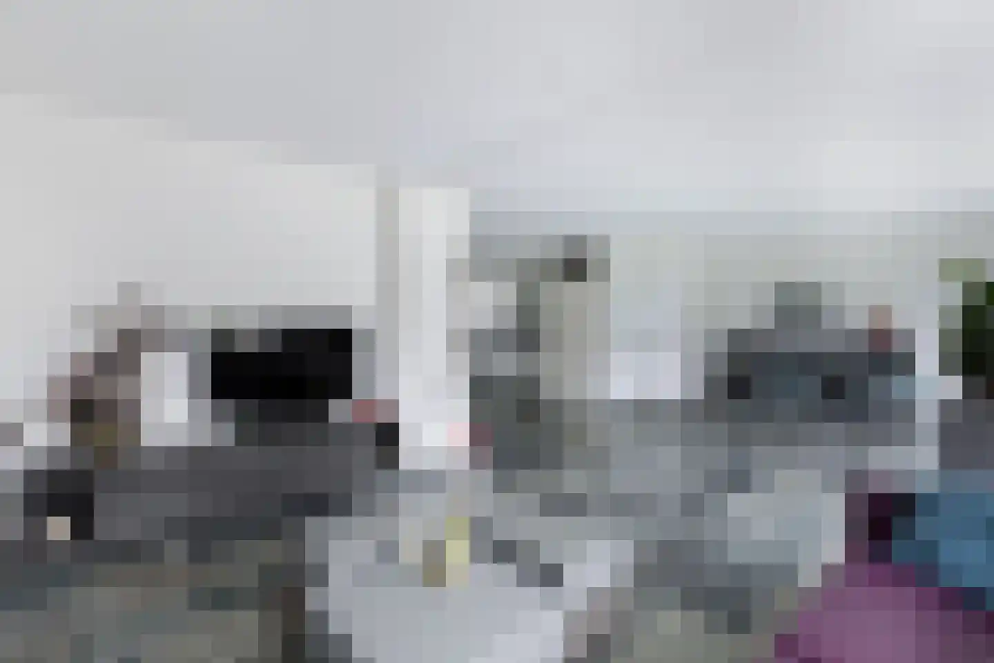 Spakenburgstraat 7 Emmeloord thumbnail 23