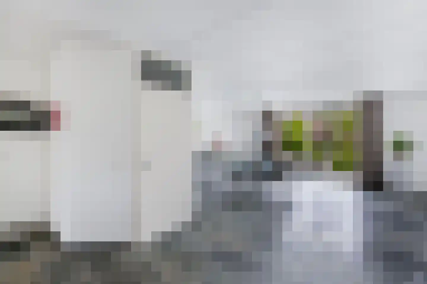 Spakenburgstraat 7 Emmeloord thumbnail 34