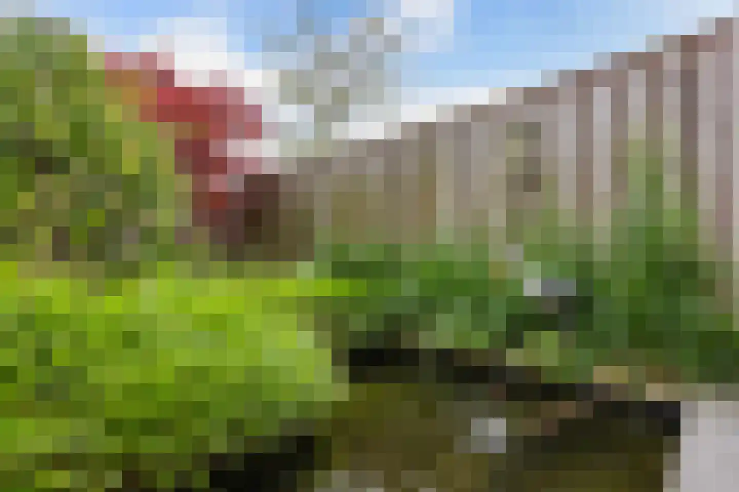 Spakenburgstraat 7 Emmeloord thumbnail 38