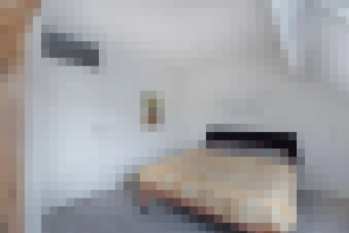Spakenburgstraat 7 Emmeloord thumbnail 47