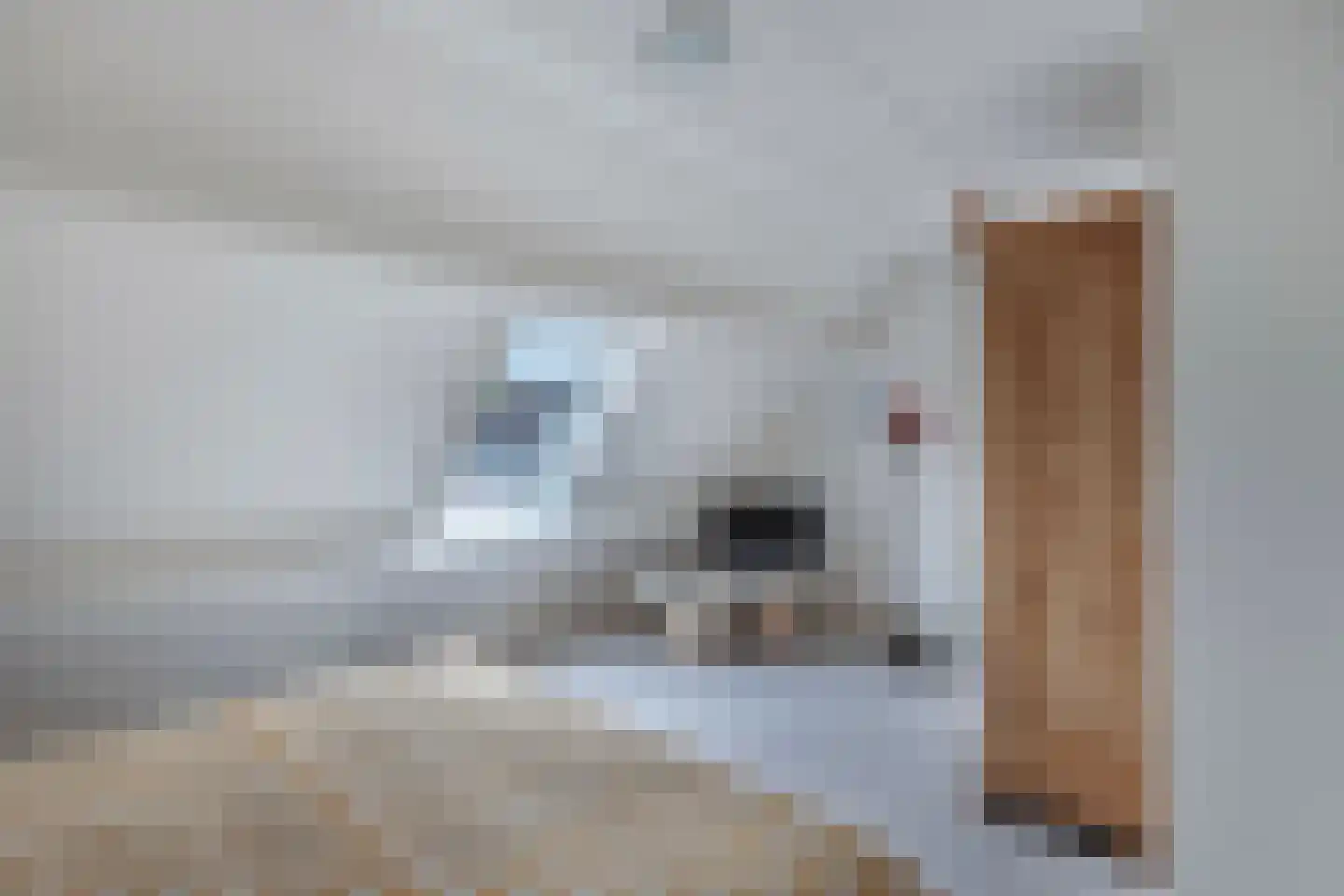 Spakenburgstraat 7 Emmeloord thumbnail 48
