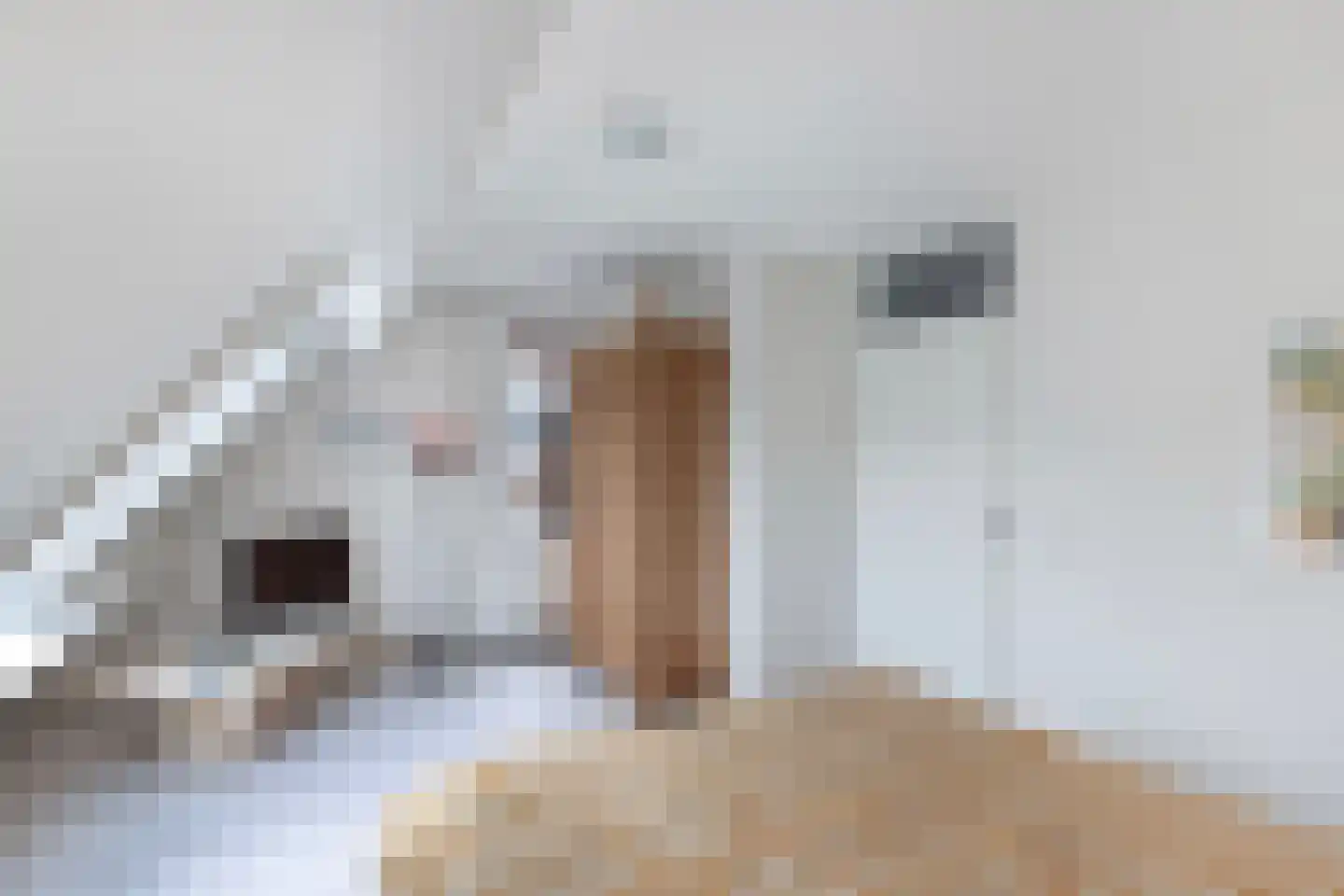 Spakenburgstraat 7 Emmeloord thumbnail 49