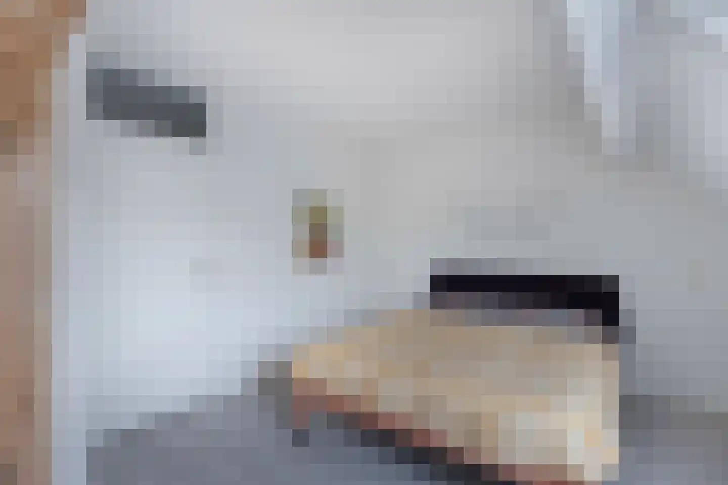 Spakenburgstraat 7 Emmeloord thumbnail 6