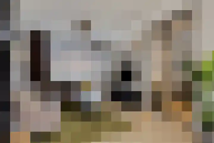 Spalaan 15 Eindhoven thumbnail 11