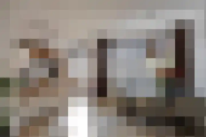 Spalaan 15 Eindhoven thumbnail 12