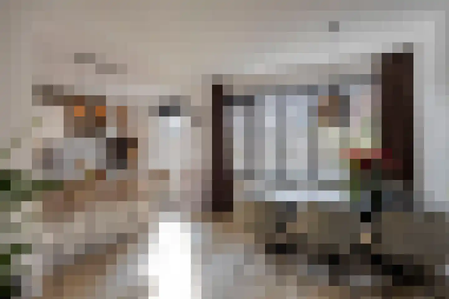 Spalaan 15 Eindhoven thumbnail 12
