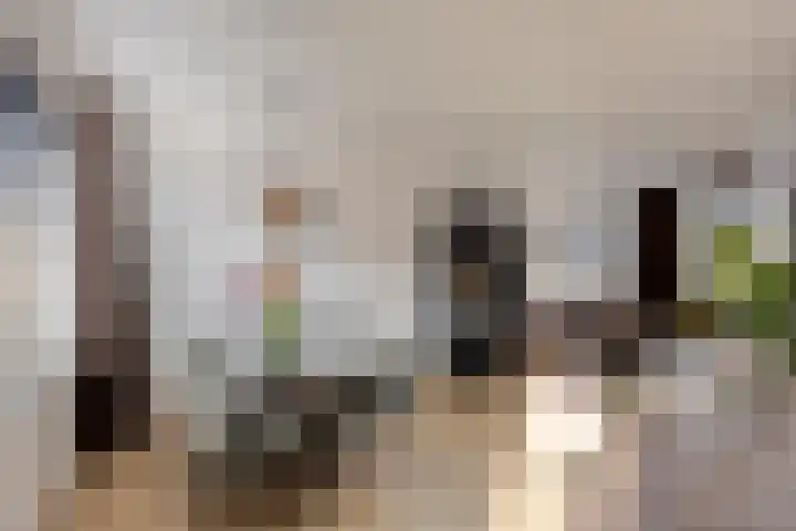 Spalaan 15 Eindhoven thumbnail 13