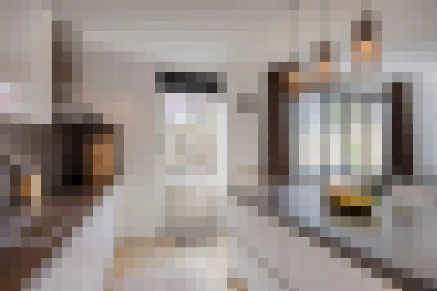 Spalaan 15 Eindhoven thumbnail 15
