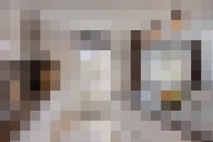 Spalaan 15 Eindhoven thumbnail 15