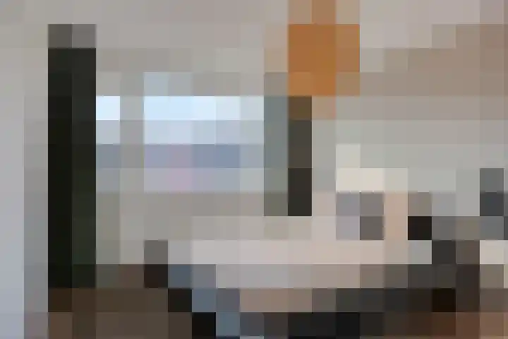 Spalaan 15 Eindhoven thumbnail 19