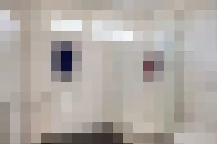 Spalaan 15 Eindhoven thumbnail 21