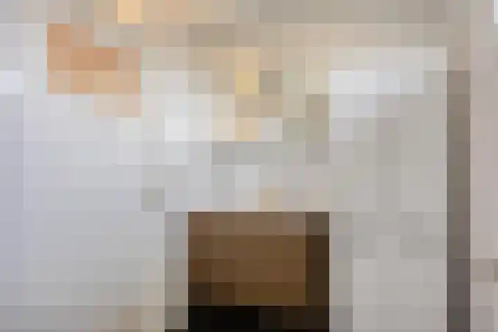 Spalaan 15 Eindhoven thumbnail 22