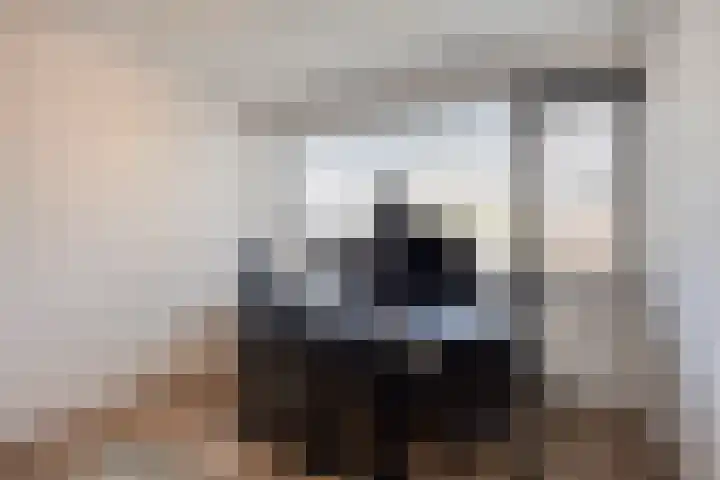 Spalaan 15 Eindhoven thumbnail 23