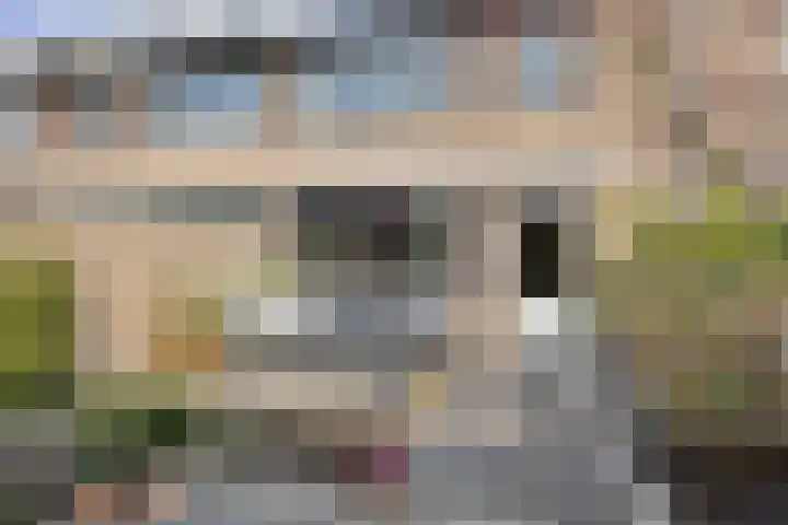 Spalaan 15 Eindhoven thumbnail 28