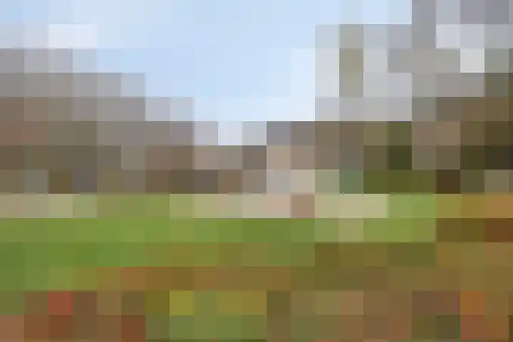 Spalaan 15 Eindhoven thumbnail 32
