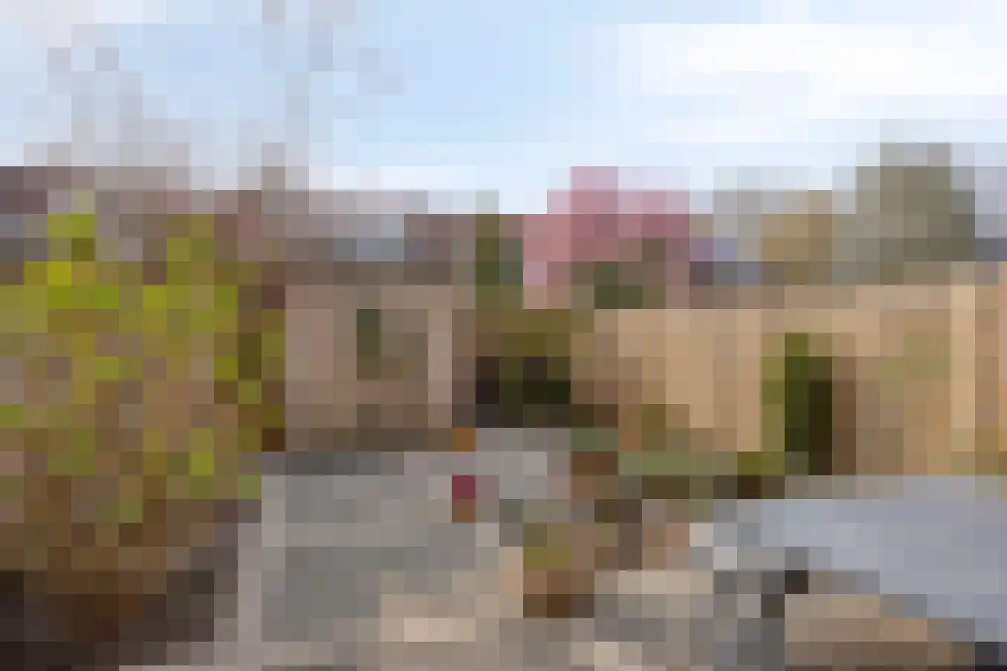 Spalaan 15 Eindhoven thumbnail 5