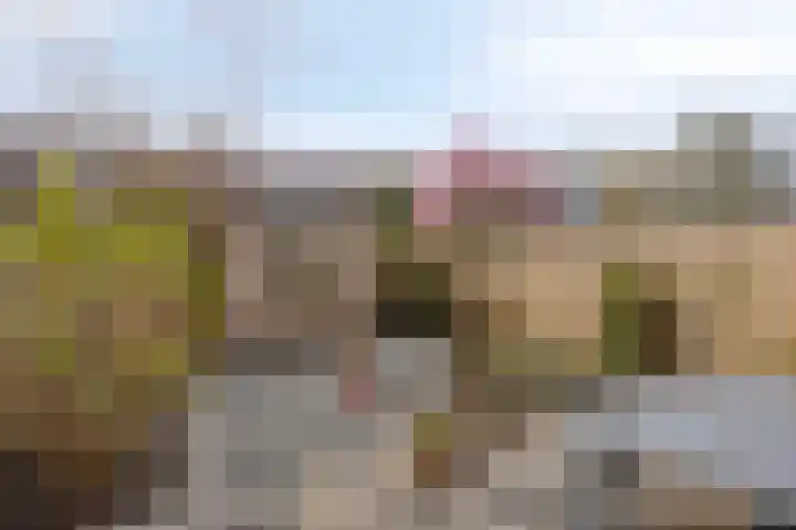 Spalaan 15 Eindhoven thumbnail 5