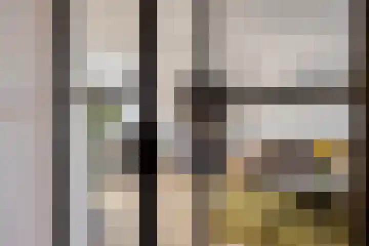 Spalaan 15 Eindhoven thumbnail 9