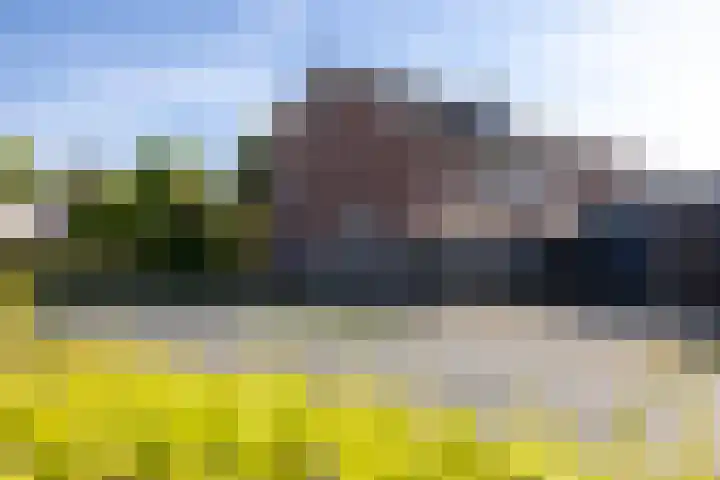 Spalhuisstraat 2 Wehl thumbnail 22
