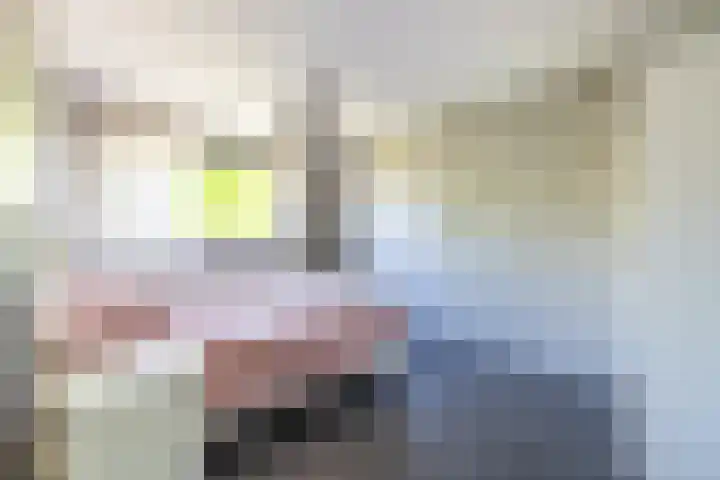 Spalhuisstraat 2 Wehl thumbnail 26