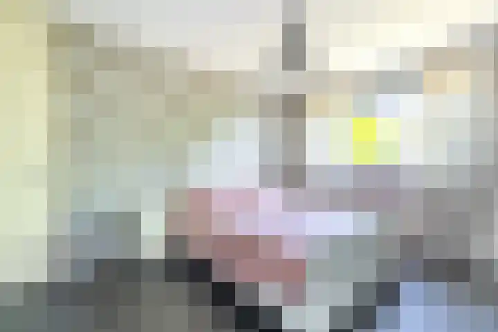 Spalhuisstraat 2 Wehl thumbnail 27