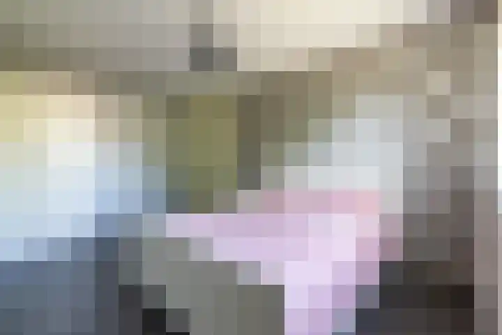 Spalhuisstraat 2 Wehl thumbnail 28