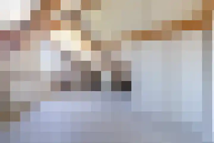 Spalhuisstraat 2 Wehl thumbnail 41