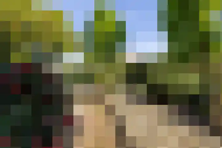 Spalhuisstraat 2 Wehl thumbnail 44