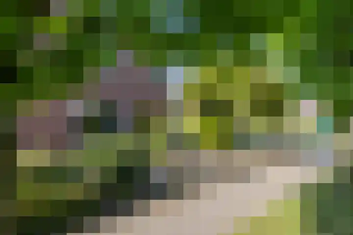 Spalhuisstraat 2 Wehl thumbnail 45