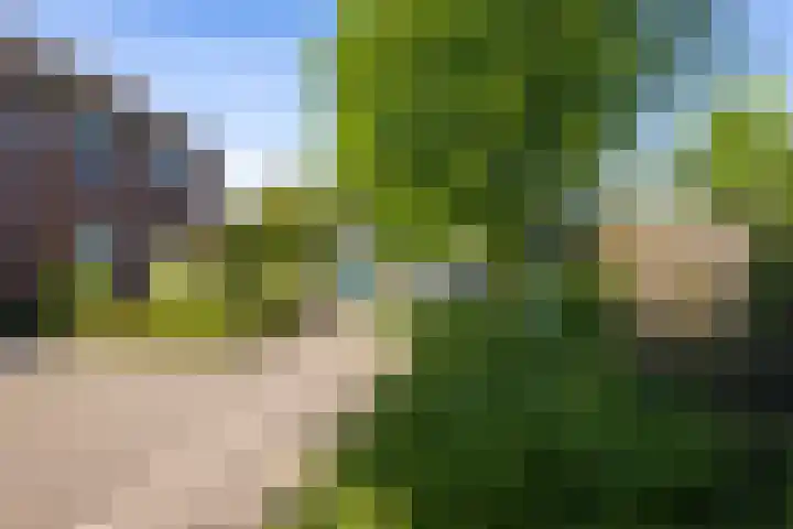 Spalhuisstraat 2 Wehl thumbnail 47