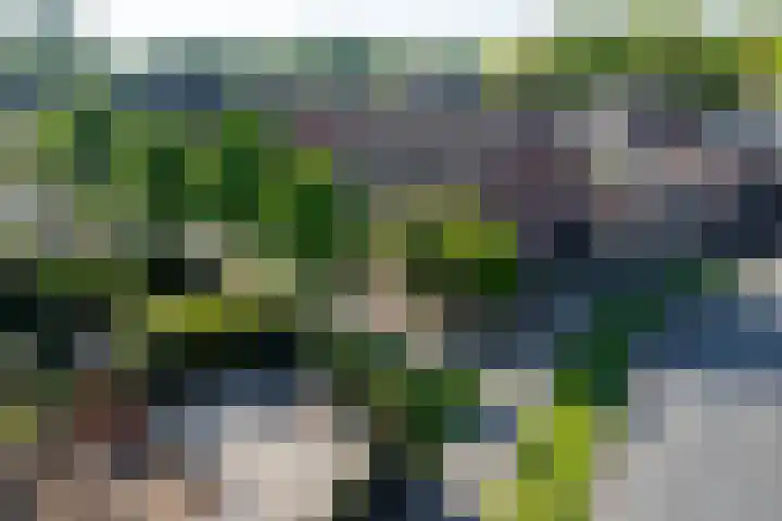 Spalhuisstraat 2 Wehl thumbnail 48