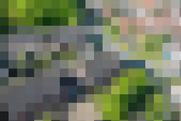 Spalhuisstraat 2 Wehl thumbnail 50