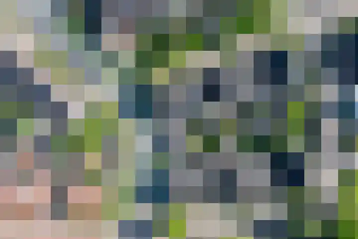 Spalhuisstraat 2 Wehl thumbnail 51