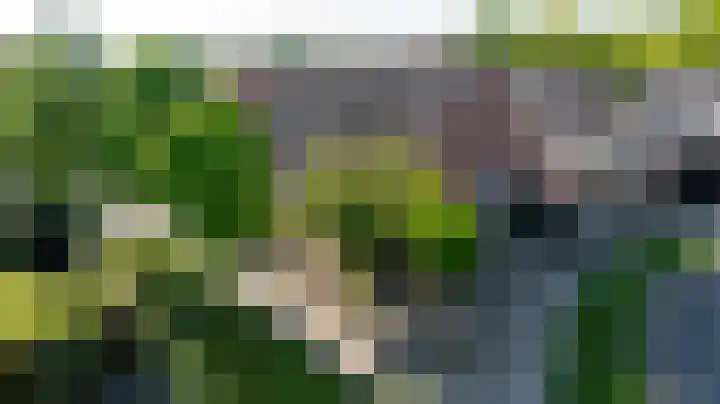 Spalhuisstraat 2 Wehl thumbnail 52