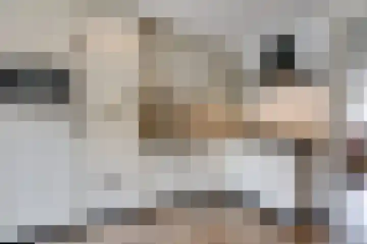 Spalhuisstraat 6 Wehl thumbnail 11