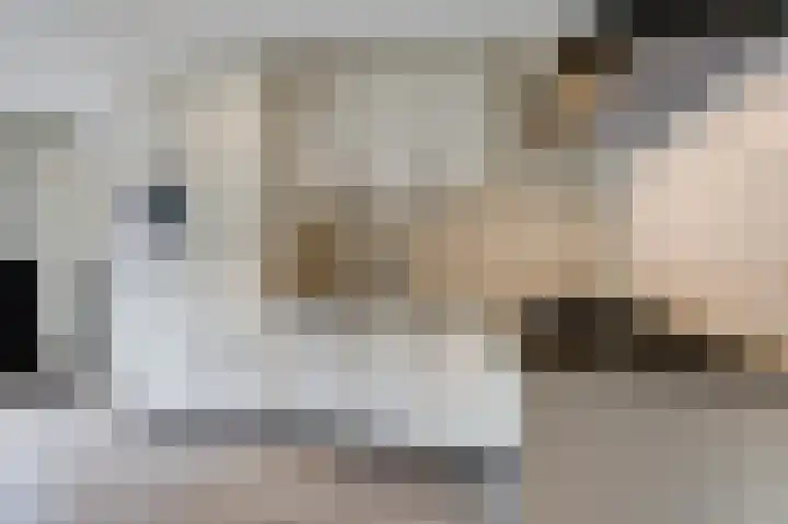 Spalhuisstraat 6 Wehl thumbnail 15