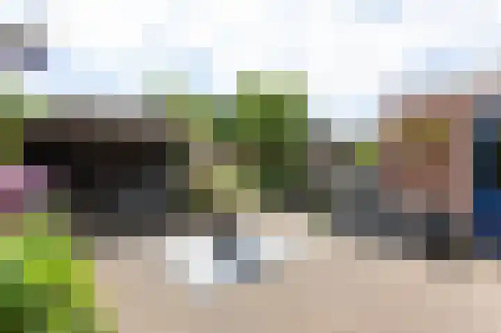 Spalhuisstraat 6 Wehl thumbnail 21