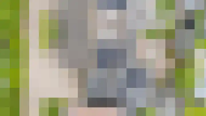 Spalhuisstraat 6 Wehl thumbnail 31