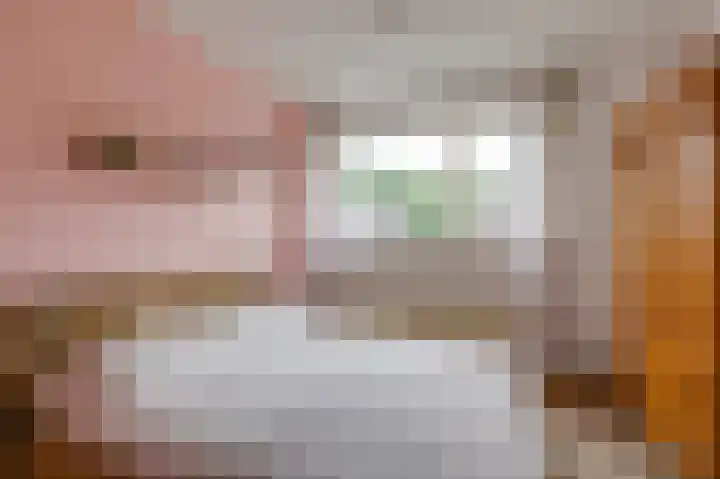 Spalhuisstraat 6 Wehl thumbnail 39