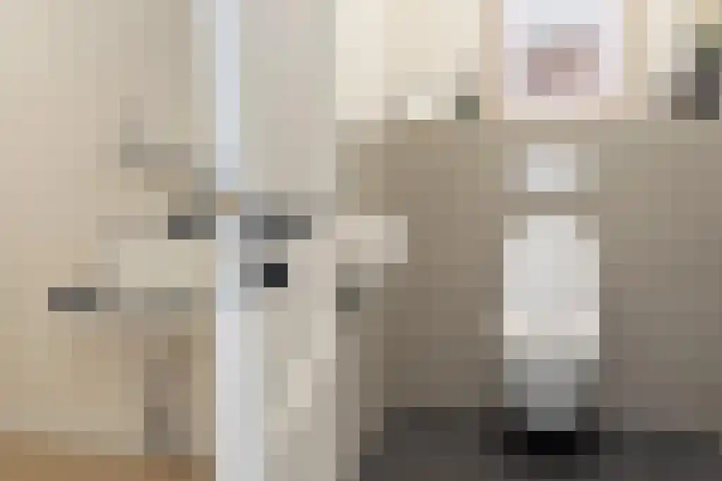 Spalstraat 8 Hengelo (Gld) thumbnail 17