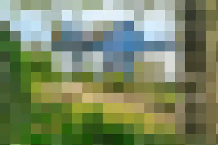 Spaltenbrêge 7 Terwispel thumbnail 10