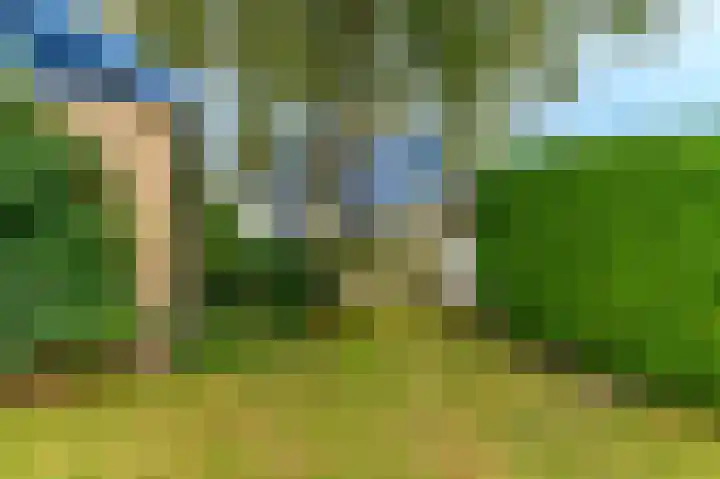 Spaltenbrêge 7 Terwispel thumbnail 12
