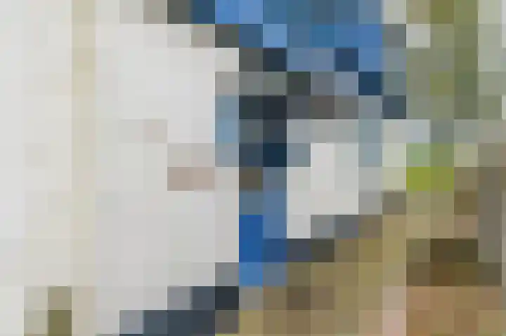 Spaltenbrêge 7 Terwispel thumbnail 14