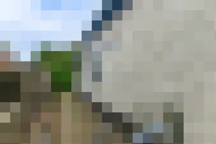 Spaltenbrêge 7 Terwispel thumbnail 15