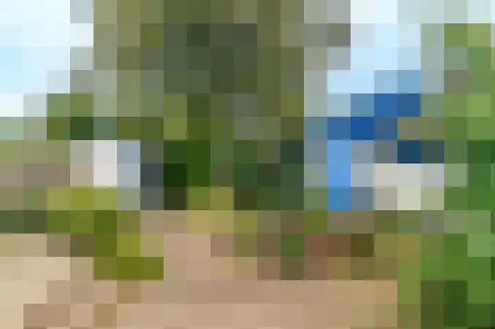 Spaltenbrêge 7 Terwispel thumbnail 16