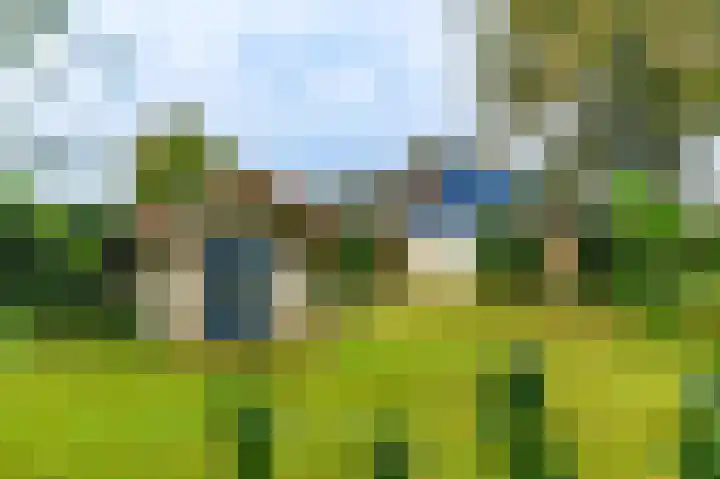 Spaltenbrêge 7 Terwispel thumbnail 18