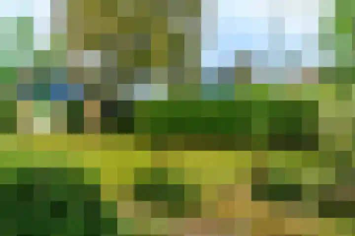 Spaltenbrêge 7 Terwispel thumbnail 19